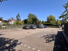 IMG_1481.jpeg