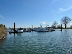 IMG_4170.jpg