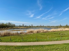 IMG_4177.jpg