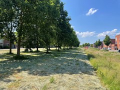 IMG_0926.jpg