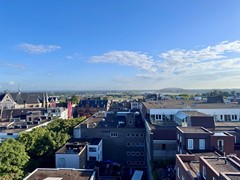 IMG_2247.jpg