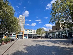 IMG_2233.jpg