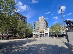 IMG_2234.jpg