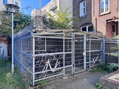 IMG_2400.jpg