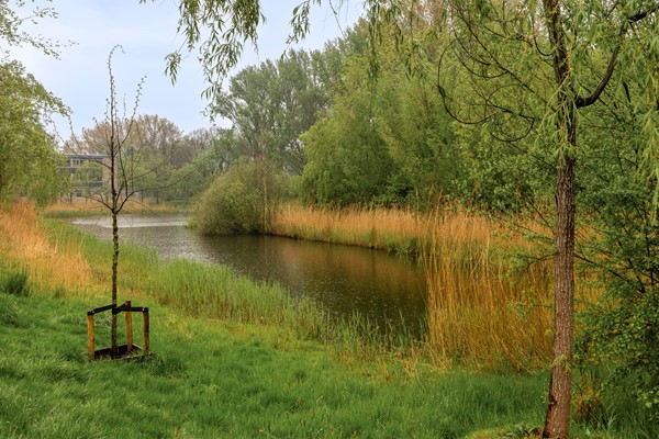 Medium property photo - Hora Siccamasingel 101, 9721 HC Groningen