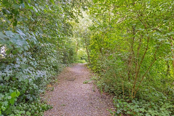 Medium property photo - 't Emmerrik 16, 9356 EH Tolbert