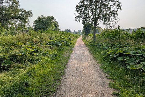 Medium property photo - Leuvenstraat 24, 1066 HC Amsterdam