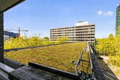 Groen dak .jpg