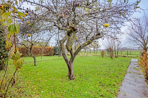 Medium property photo - Dorpsstraat 8, 6074 GC Melick