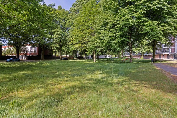 Medium property photo - Mozartlaan 249, 5011 SG Tilburg