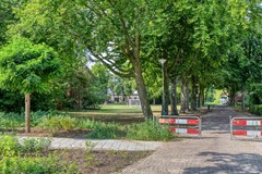 Doornbos355121rtRijenNL-28.jpg