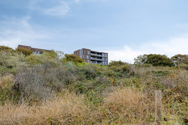 Medium property photo - Walchersestraat 112, 2583 NK Den Haag