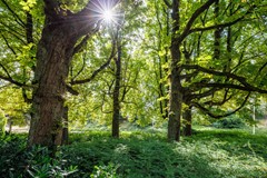 Marie Curiestraat 17 Nijmegen-43.jpg