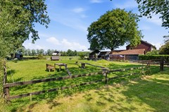 DSC_0245.jpg