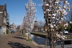 Spoorsingel461.jpg
