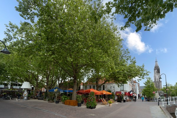 Medium property photo - Anna Boogerd 23, 2611 XA Delft