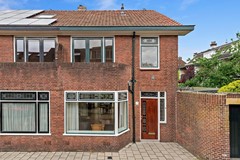 Fransenvputten00001.jpg