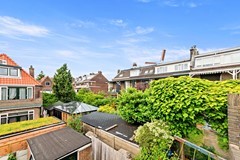 Fransenvputten00027.jpg