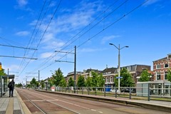 Fransenvputten00049.jpg