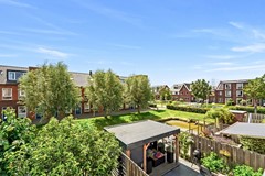 Goudappel9700049.jpg