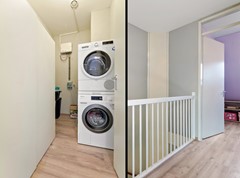 Goudappel9700002.jpg