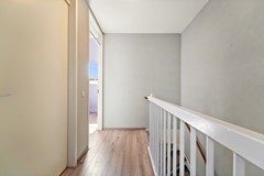 Goudappel9700053.jpg