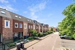 Goudappel9700021.jpg