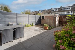 DSC05246-bewerkt.jpg