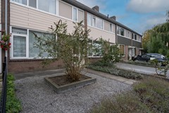 DSC05235-bewerkt.jpg