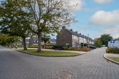DSC05421-bewerkt.jpg