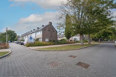 DSC05422-bewerkt.jpg