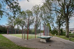 DSC05415-bewerkt-2.jpg