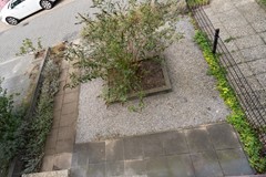 DSC05328.jpg