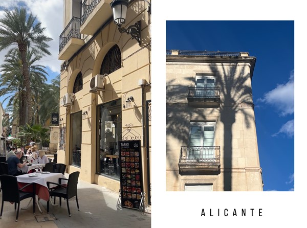 Medium property photo - Avenida del Recorral, 03170 Rojales