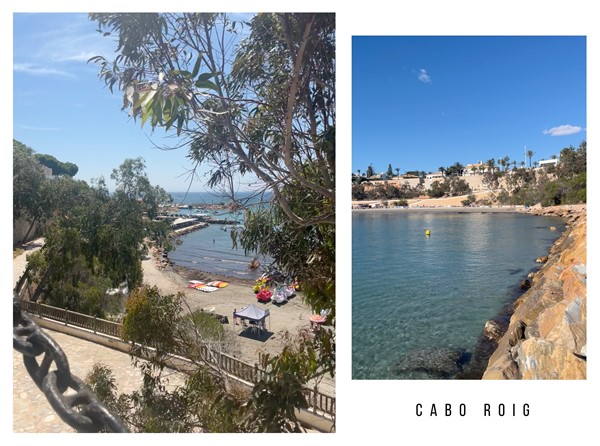 Medium property photo - Avenida del Recorral, 03170 Rojales