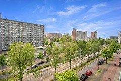 Foto_Papsouwselaan283_Delft_18.jpg