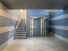 IMG_6383.jpg