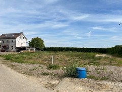 IMG_6348.jpg