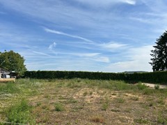 IMG_6344.jpg