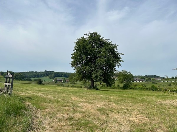 Medium property photo - Holset, 6295 NC Lemiers