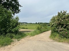 IMG_6347.jpg