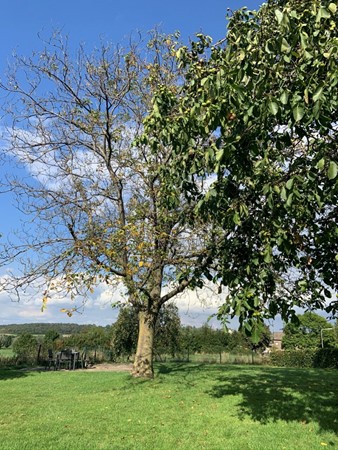 Medium property photo - Harles 10, 6294 NG Vijlen