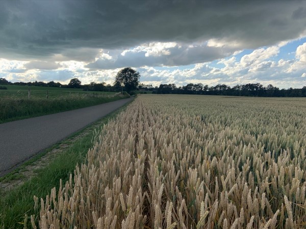 Medium property photo - Harles 10, 6294 NG Vijlen