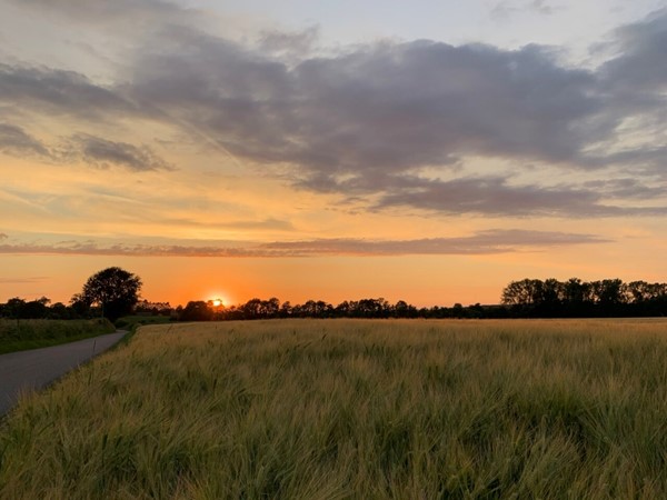 Medium property photo - Harles 10, 6294 NG Vijlen