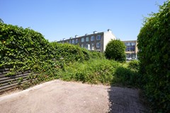 28.jpg