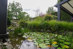 tuin4a.jpg