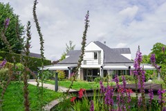 tuin6.jpg