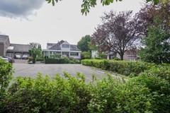 tuin12.jpg