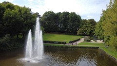 tuin14.JPG