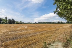 20250703, Wingtapper 10, Venhorst, WitteWoning Makelaars Uden Veghel (45 of 45).jpg